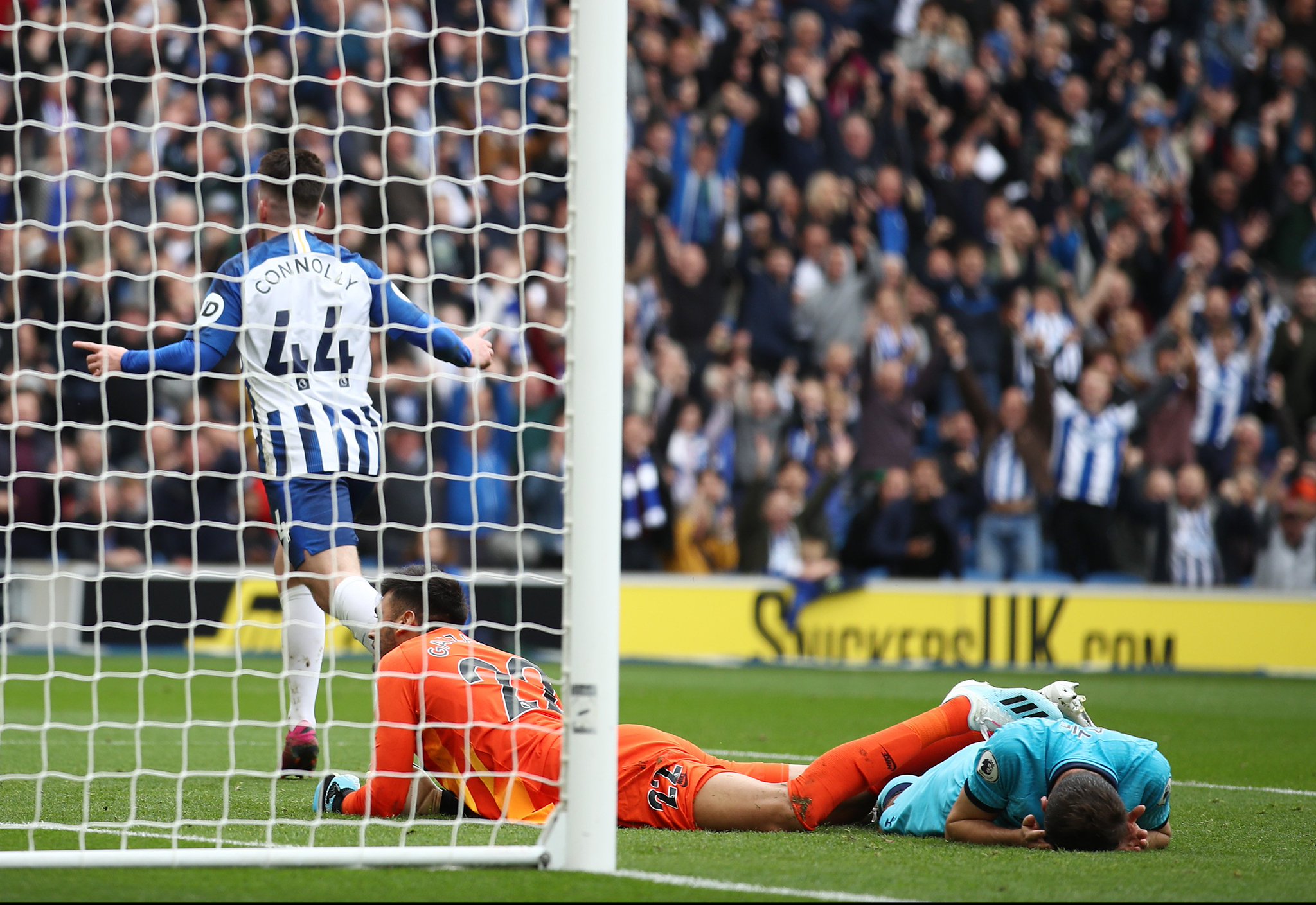 整体健康的 整体健康的