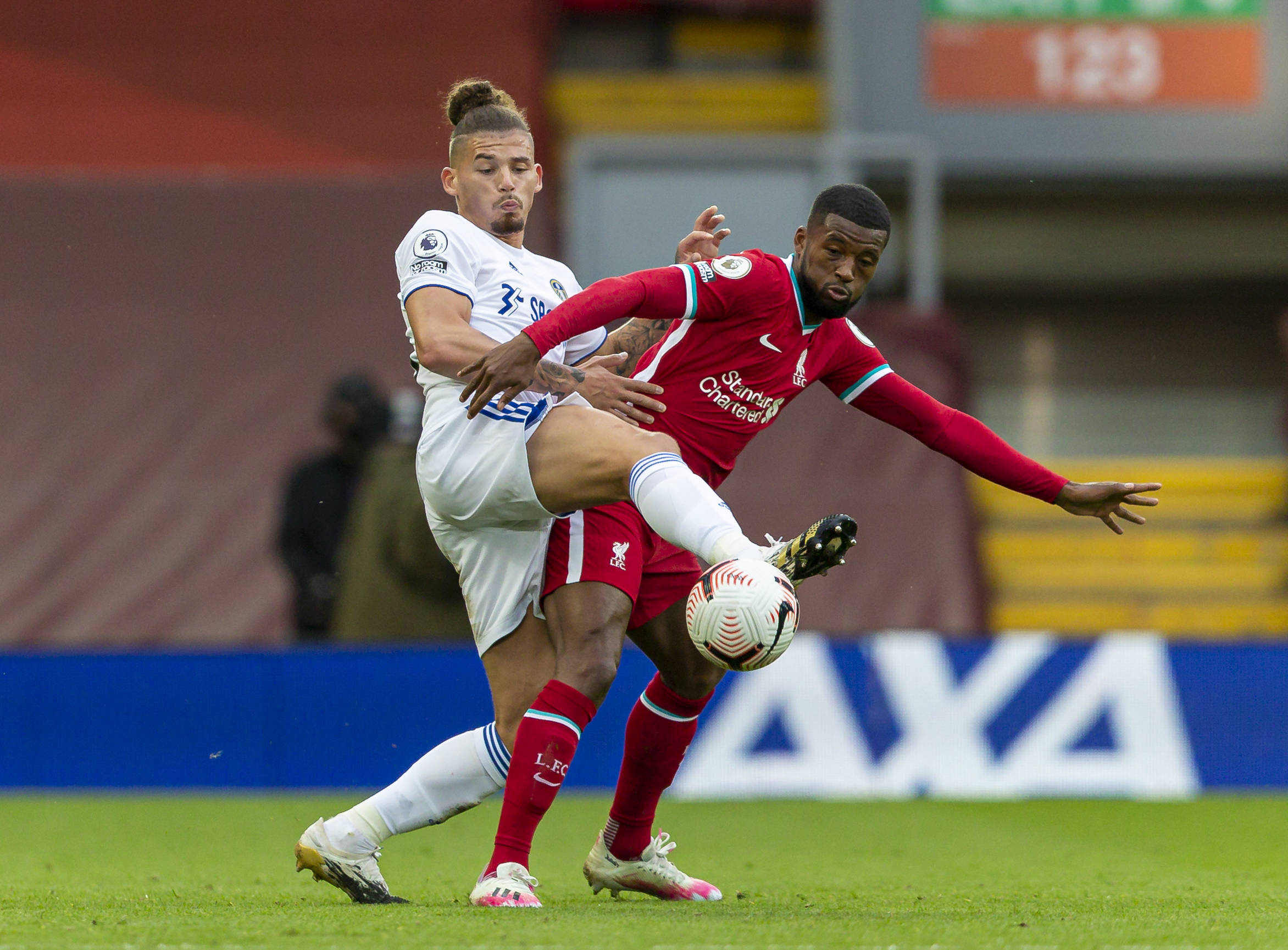 这意味着他 这意味着他